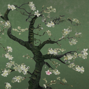 苍井空最好看的黄色电
