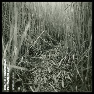 苍井空最好看的黄色电
