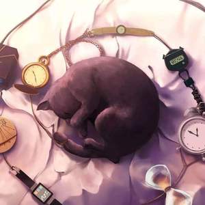 苍井空最好看的黄色电
