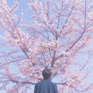 苍井空最好看的黄色电
