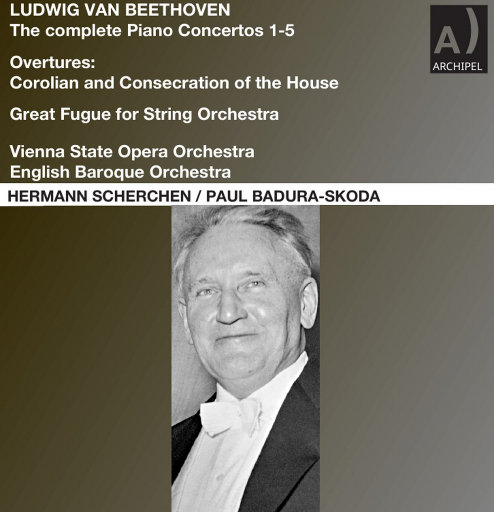 苍井空最好看的黄色电
